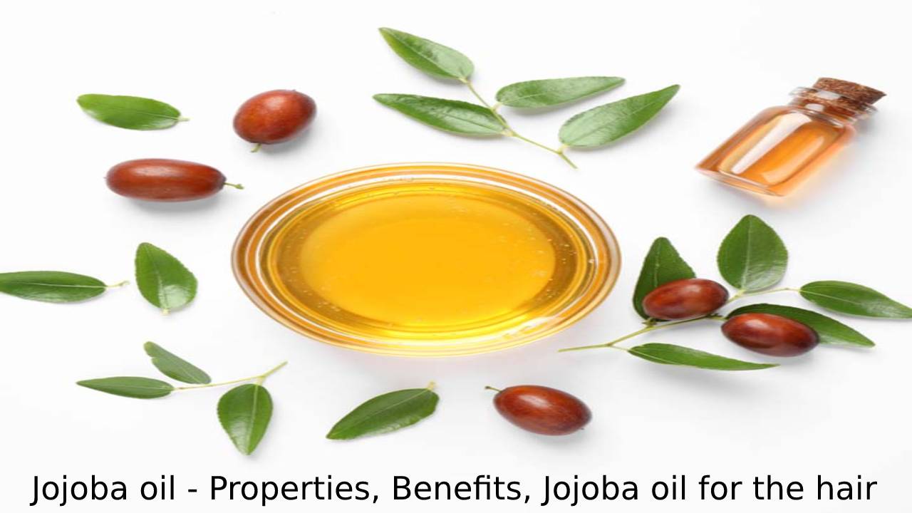 Jojoba oil – Properties, Benefits, Jojoba oil for the hair