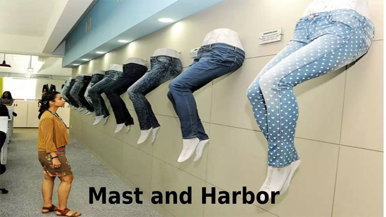 Mast and Harbour – Products, Shop the Mast and Harbor collection Online on Myntra