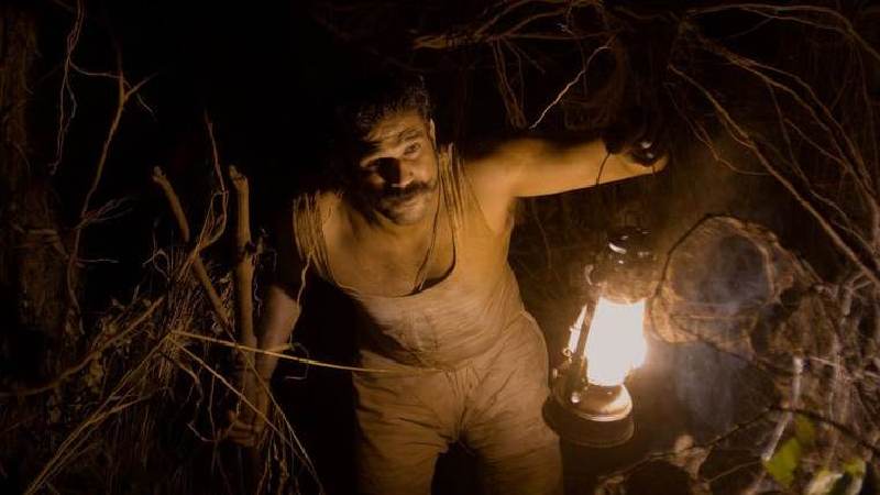 Tumbbad Torrent – (2018) Movie Download 480p,720p, 1080p, HDRip