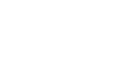 The Ace Fitness