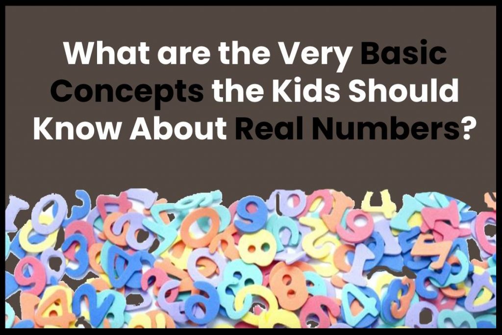 What are the Very Basic Concepts the Kids Should Know About Real Numbers?
