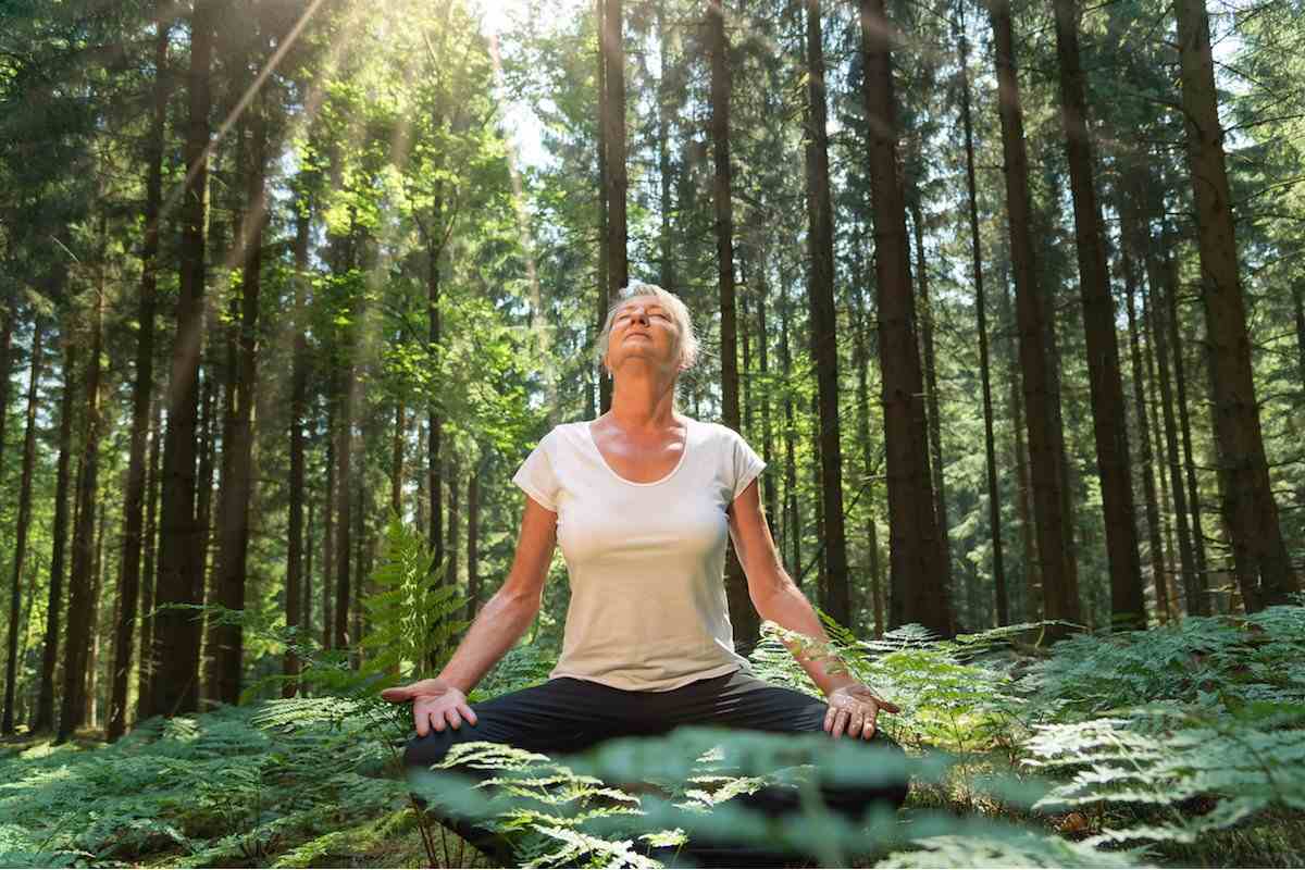  What is Forest Bathing, And How Can It Help You Manage Your Stress