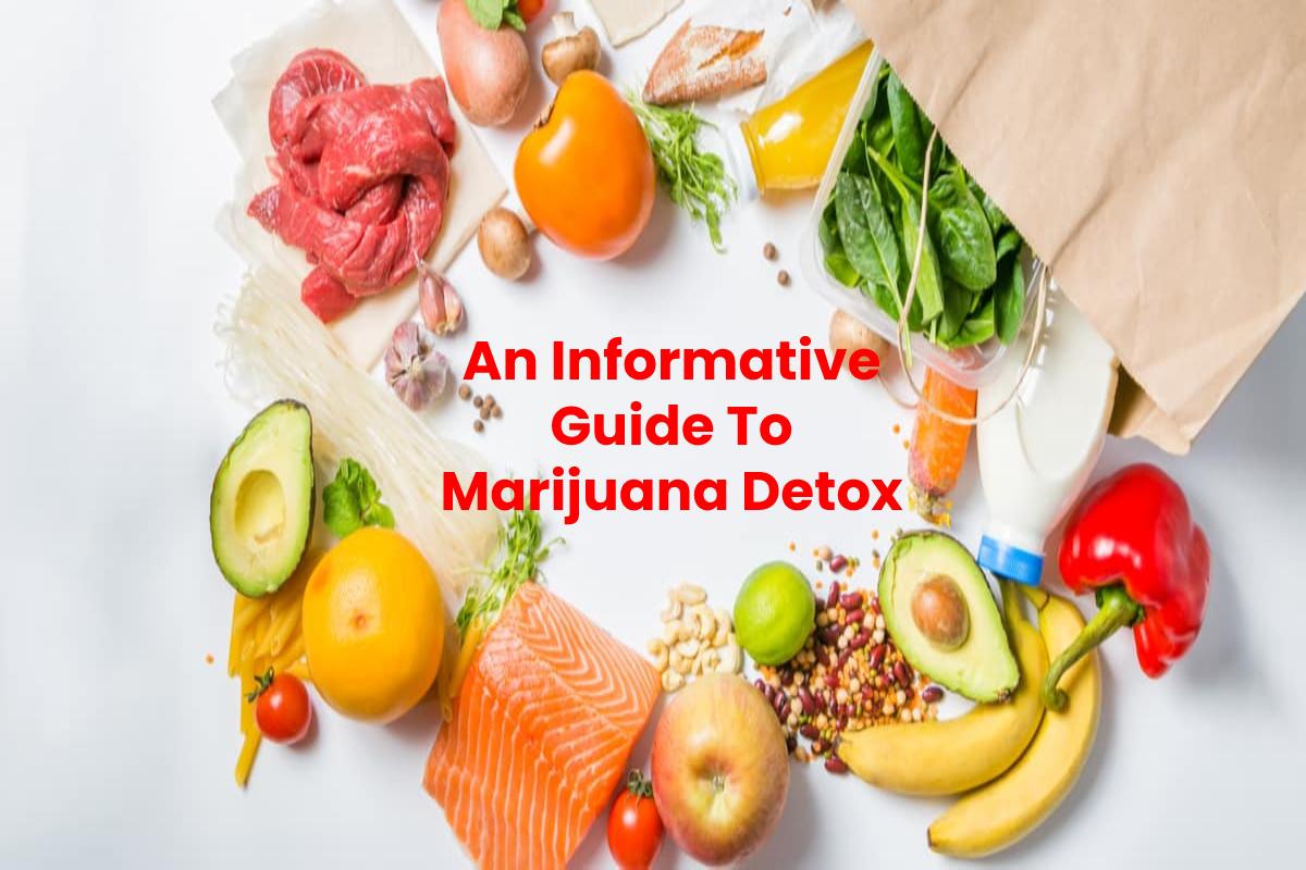  An Informative Guide To Marijuana Detox: Treatment, Recovery Plans And More