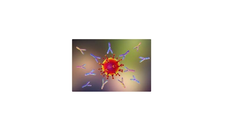 Understanding Monoclonal Antibodies and their Therapy