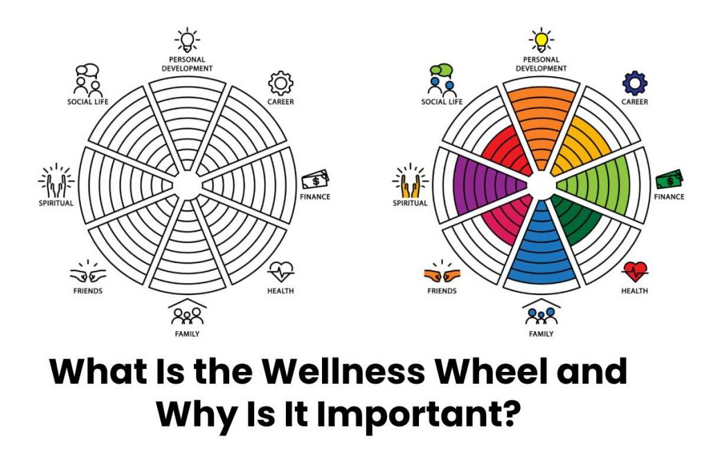 What Is the Wellness Wheel and Why Is It Important?