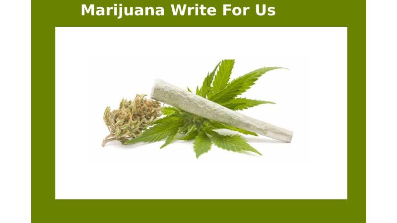 Marijuana Write For Us