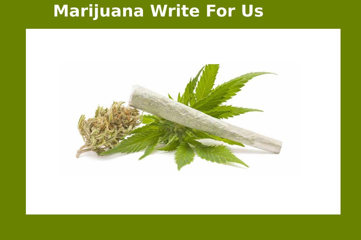 Marijuana Write For Us