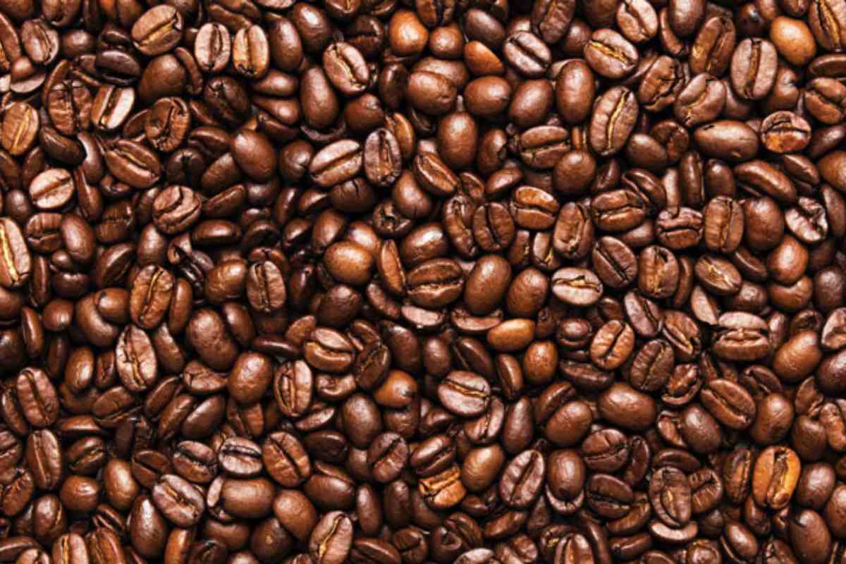 Roasted Coffee Beans Write for us